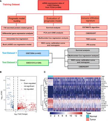 A Novel Secreted Protein-Related Gene Signature Predicts Overall Survival and Is Associated With Tumor Immunity in Patients With Lung Adenocarcinoma